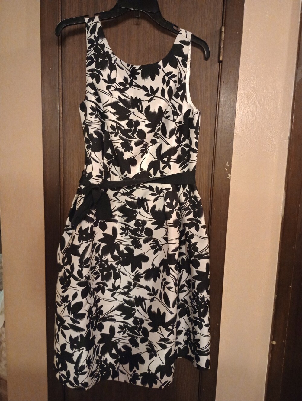 Luxe By Carmen Marc Valvo Fit And Flare Dress